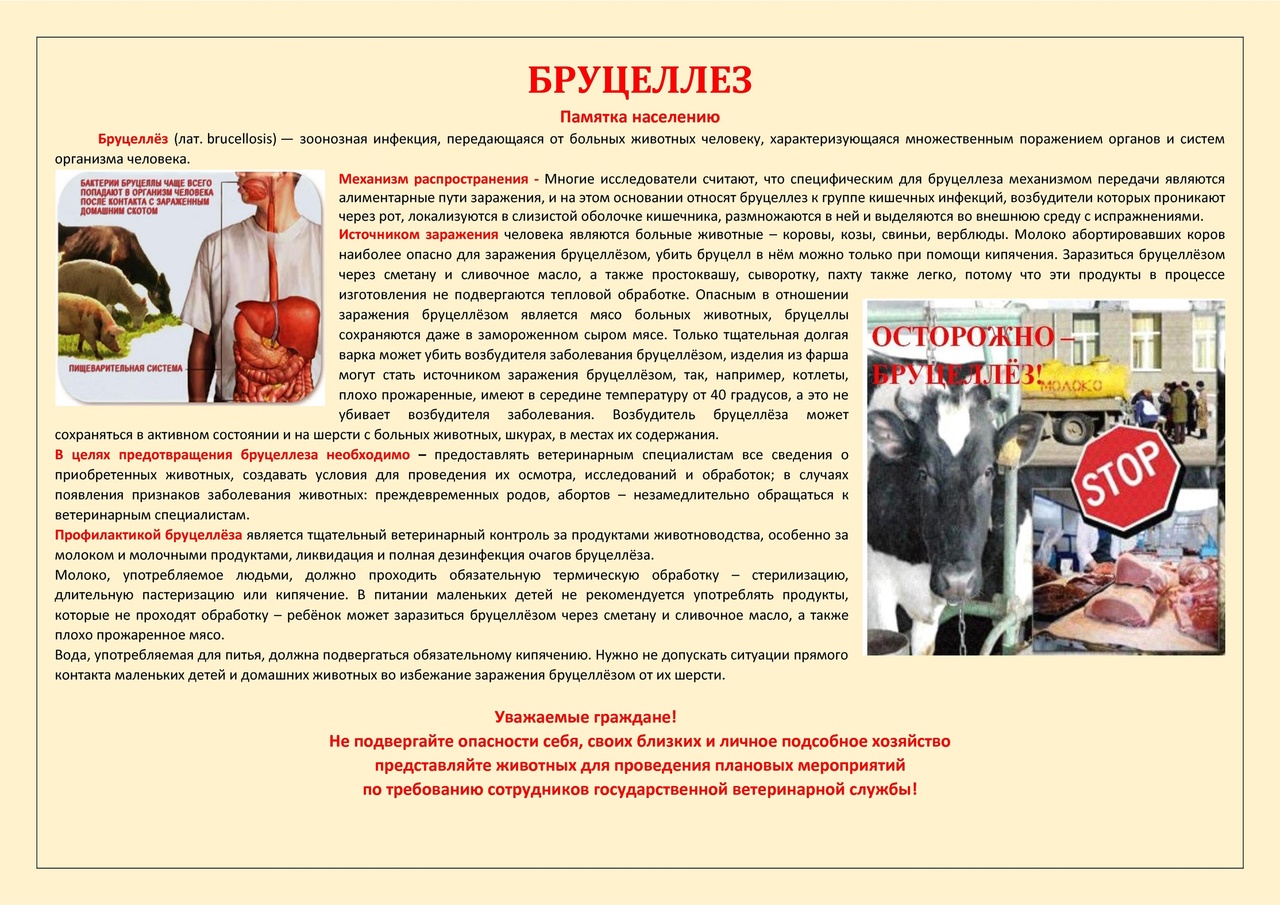 ПАМЯТКА БРУЦЕЛЛЕЗ.